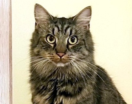 TIMUR (2 roky) TIMUR (2 roky)