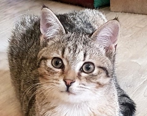 WENDY (6 měs.) WENDY (6 měs.)