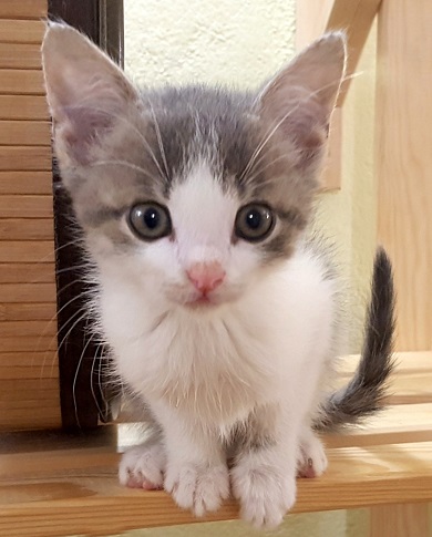 MARLEY