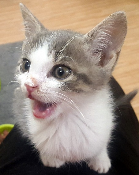 MARLEY