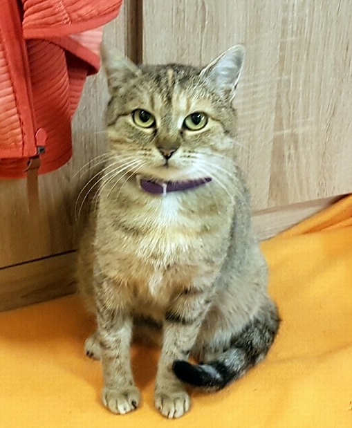DEBBIE