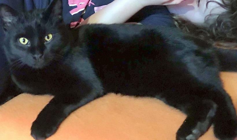 TOMÍK