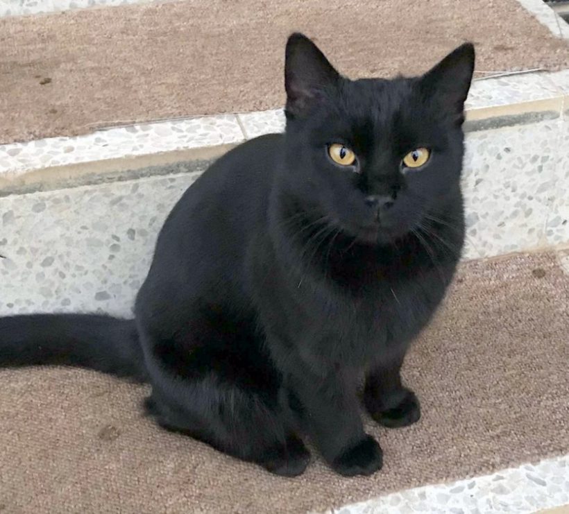 TOMÍK