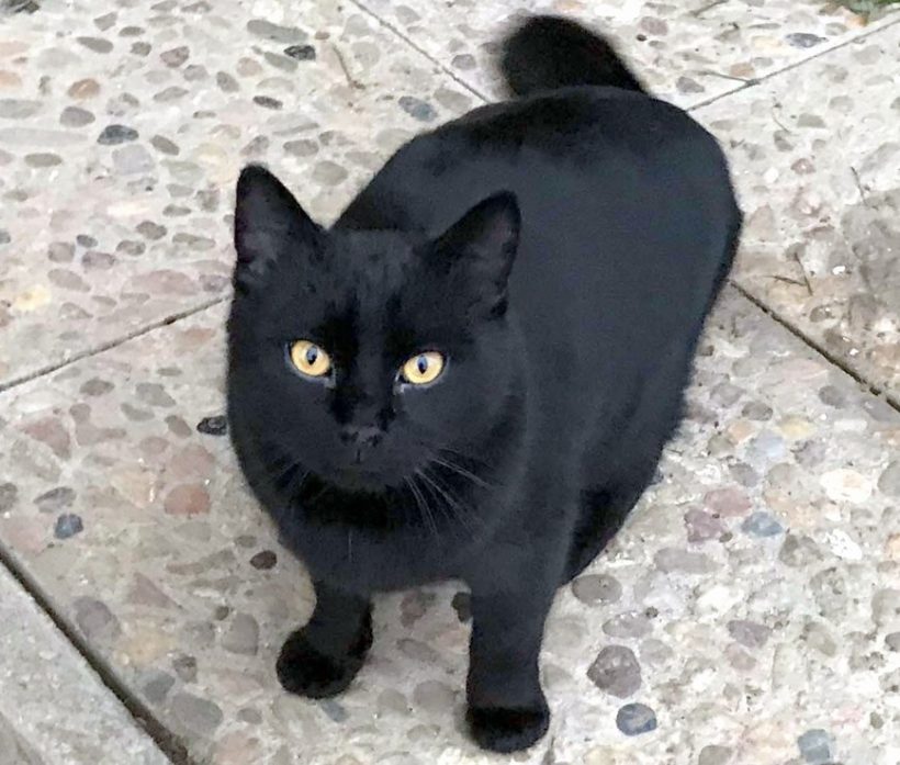 TOMÍK