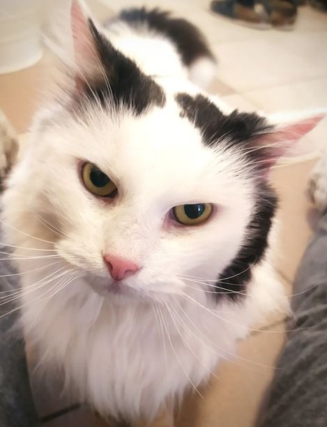 MIKI