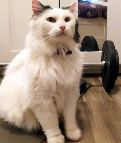 MIKI