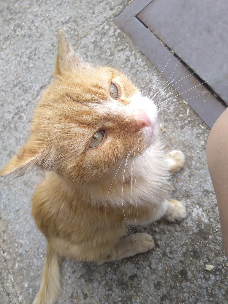 RUBEN