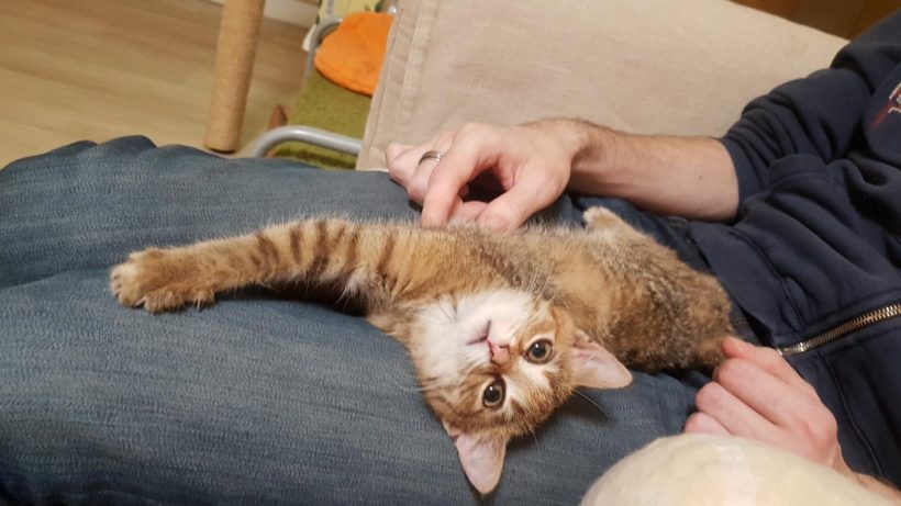 RINKI (8 m.)
