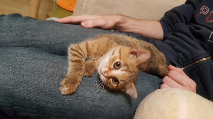 RINKI (8 m.)
