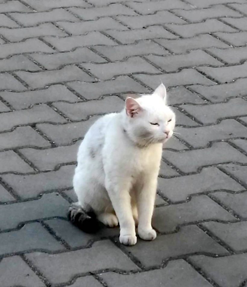 BLONDÝNKA BLONDÝNKA