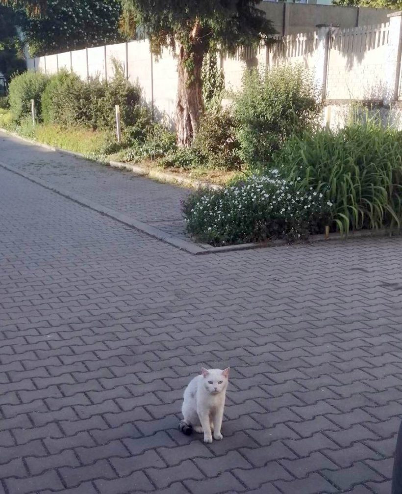 BLONDÝNKA BLONDÝNKA