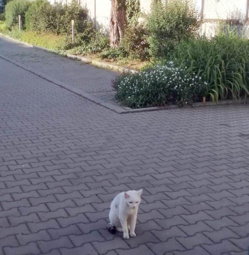 BLONDÝNKA BLONDÝNKA