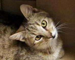 TOBBI (6 m.)
