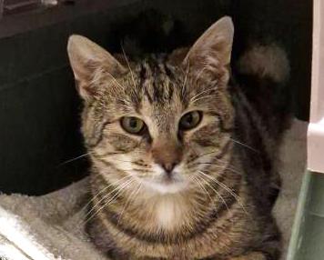 RUFUS (6 m.)