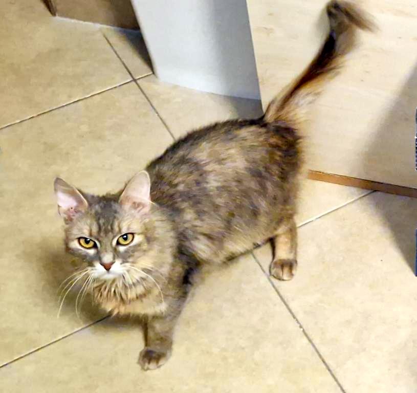 LEONI (7 m.)