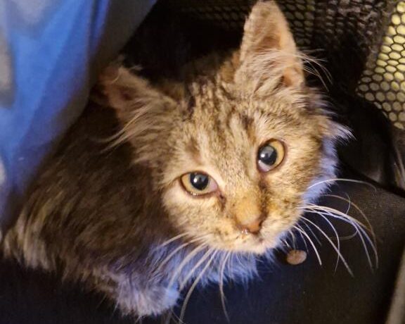 FRANTIŠKA (5 m.)