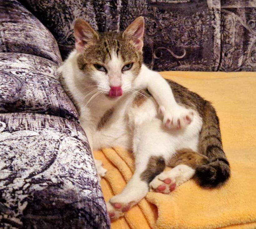 MIKYNKA